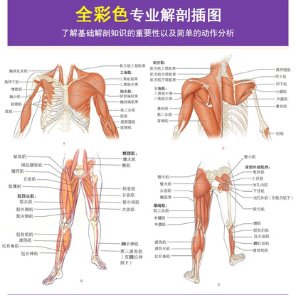 Muscle bodybuilding slimming tutorial Healthcare book