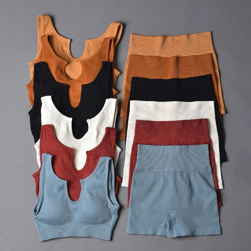 Seamless Sport Suit Yoga Suit Crop Top